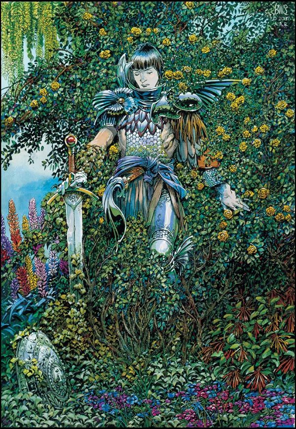 Barry Windsor Smith 003